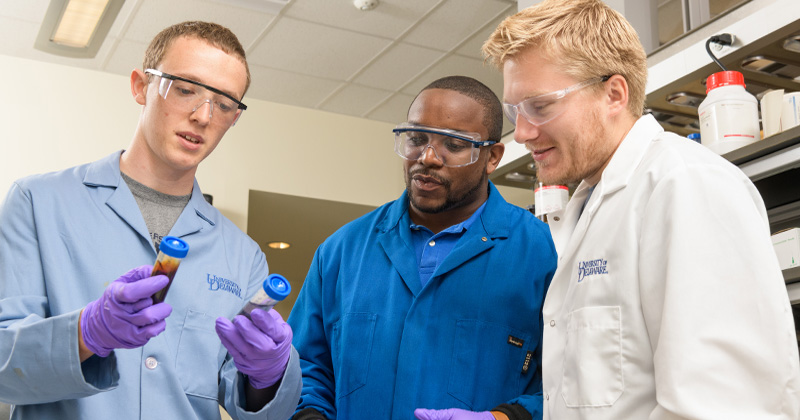 Graduate students (from left) Monte Baker-Fales and Pierre Desir and postdoctoral researcher Sebastian Prodinger conduct RAPID biomass observations.
