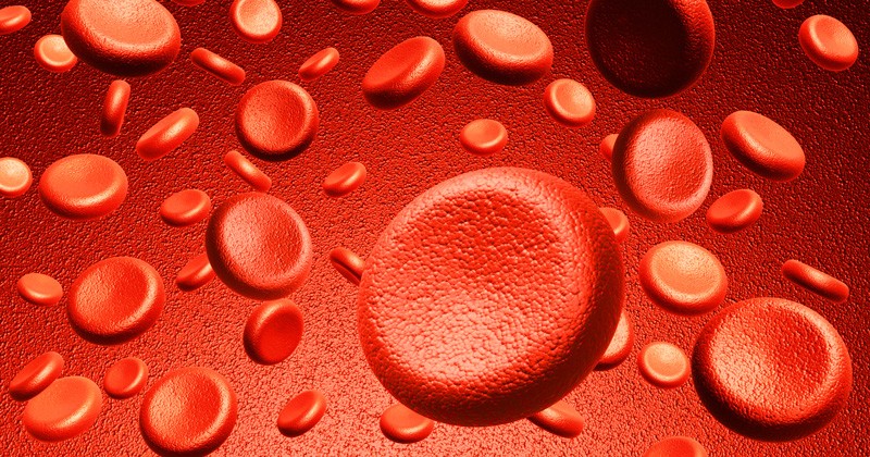 Gene Therapy for Blood Disorders