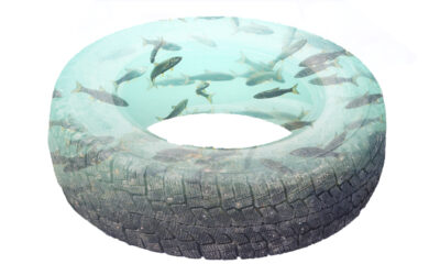 Decontaminating toxic tires