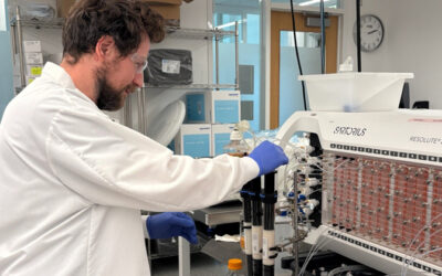 NIIMBL-led Team Selected for $10.5 Million Gates Grand Challenges Funding Award