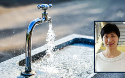 Tackling Forever Chemicals